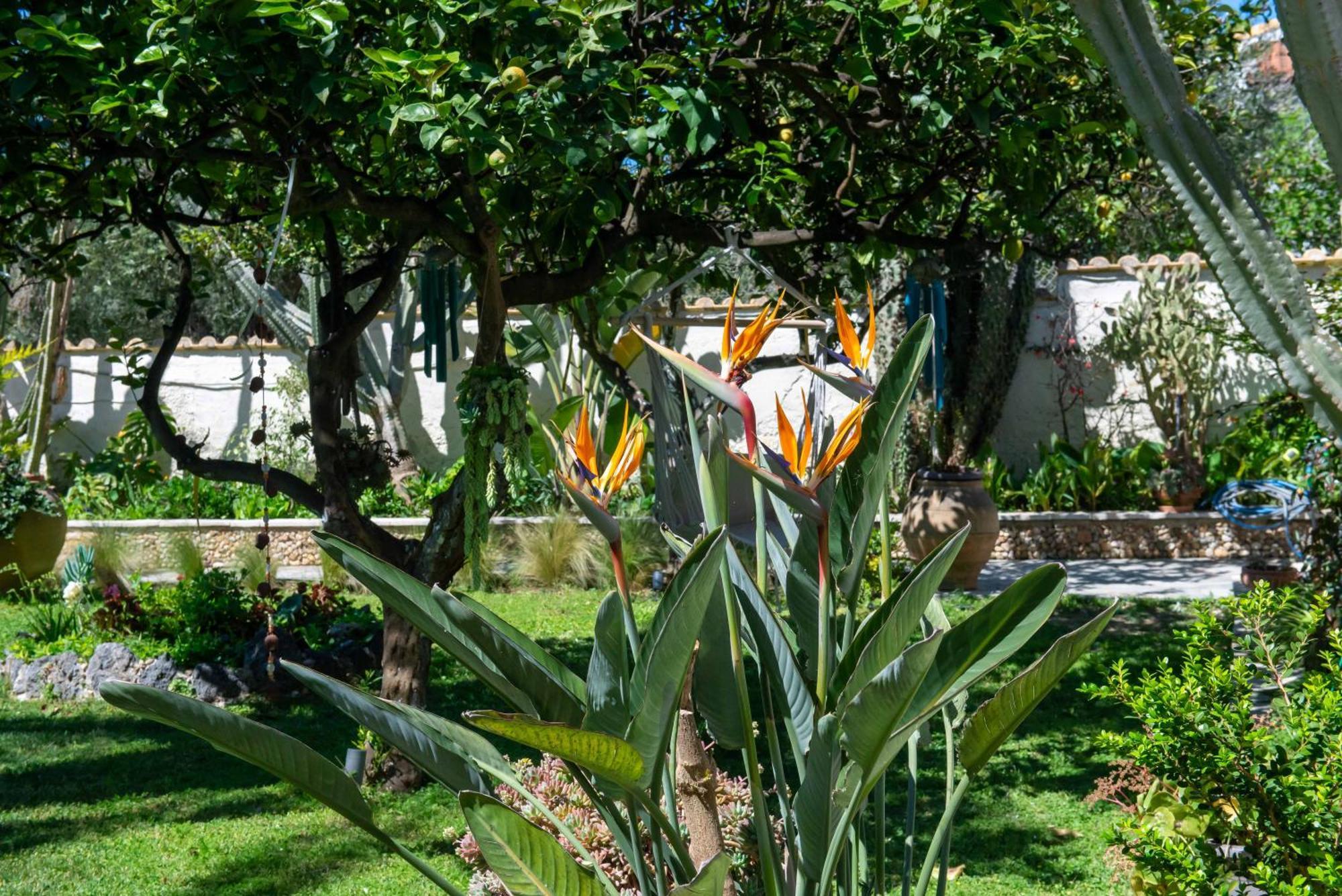 Alex Studios & Apartments Arillas  Ngoại thất bức ảnh